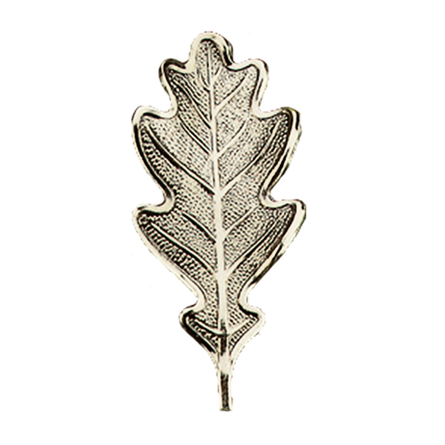 Heavy-duty Solid Wild Boar Tusk Cover Plate