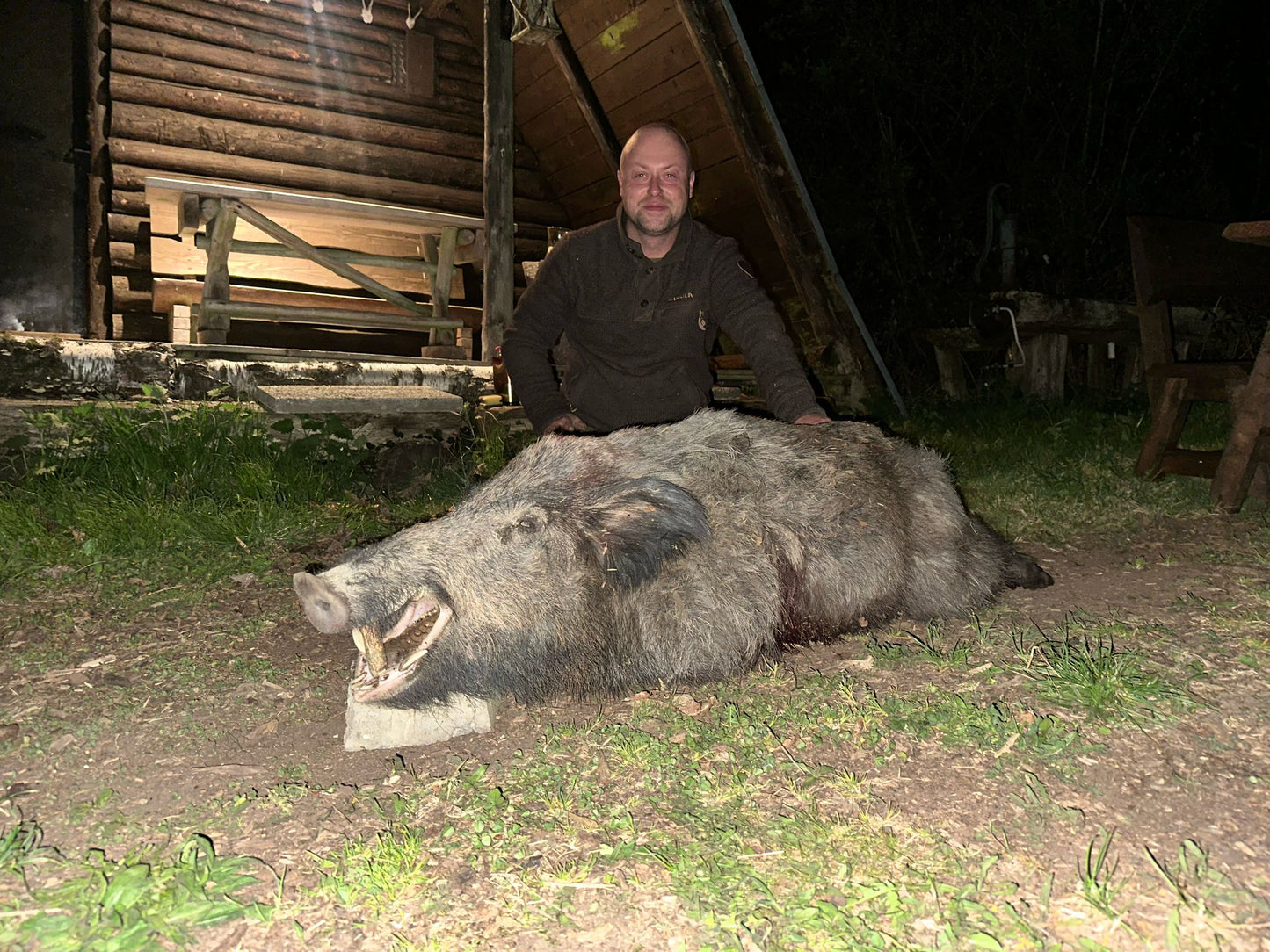 Boar hunt Germany