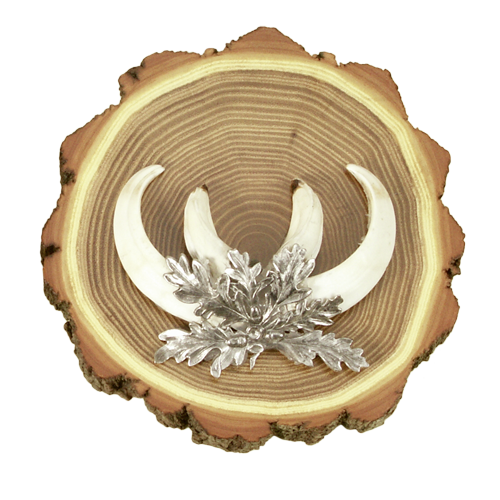 Acacia Shield for Wild Boar Tusks