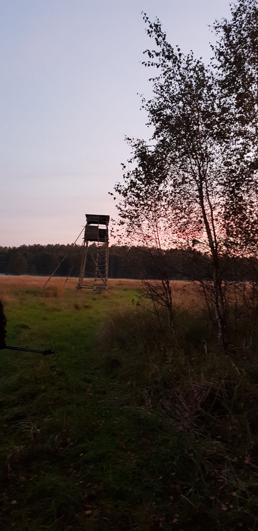 Reddeer hunt
