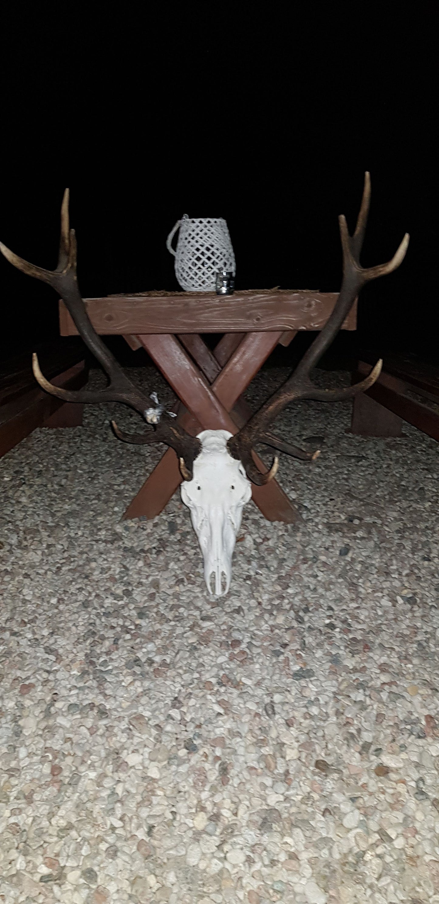 Reddeer hunt