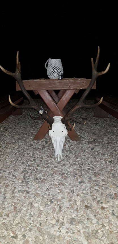 Reddeer hunt