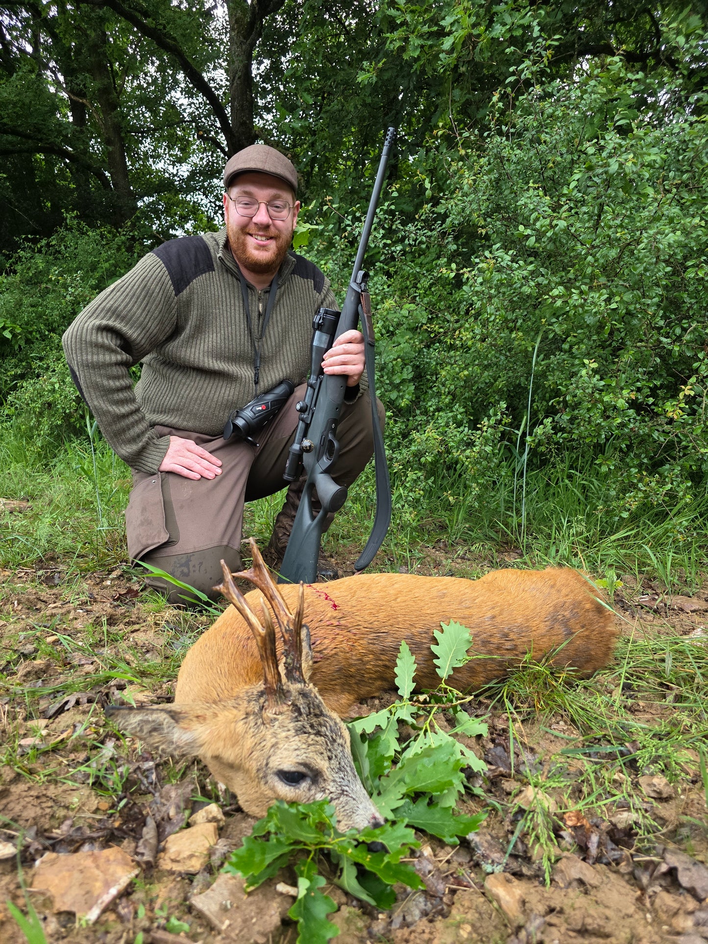 Roebuck Germany