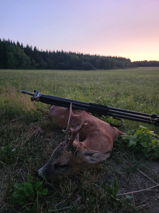 Roebuck Germany