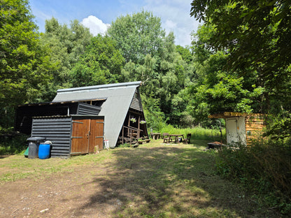 Roebuck Germany