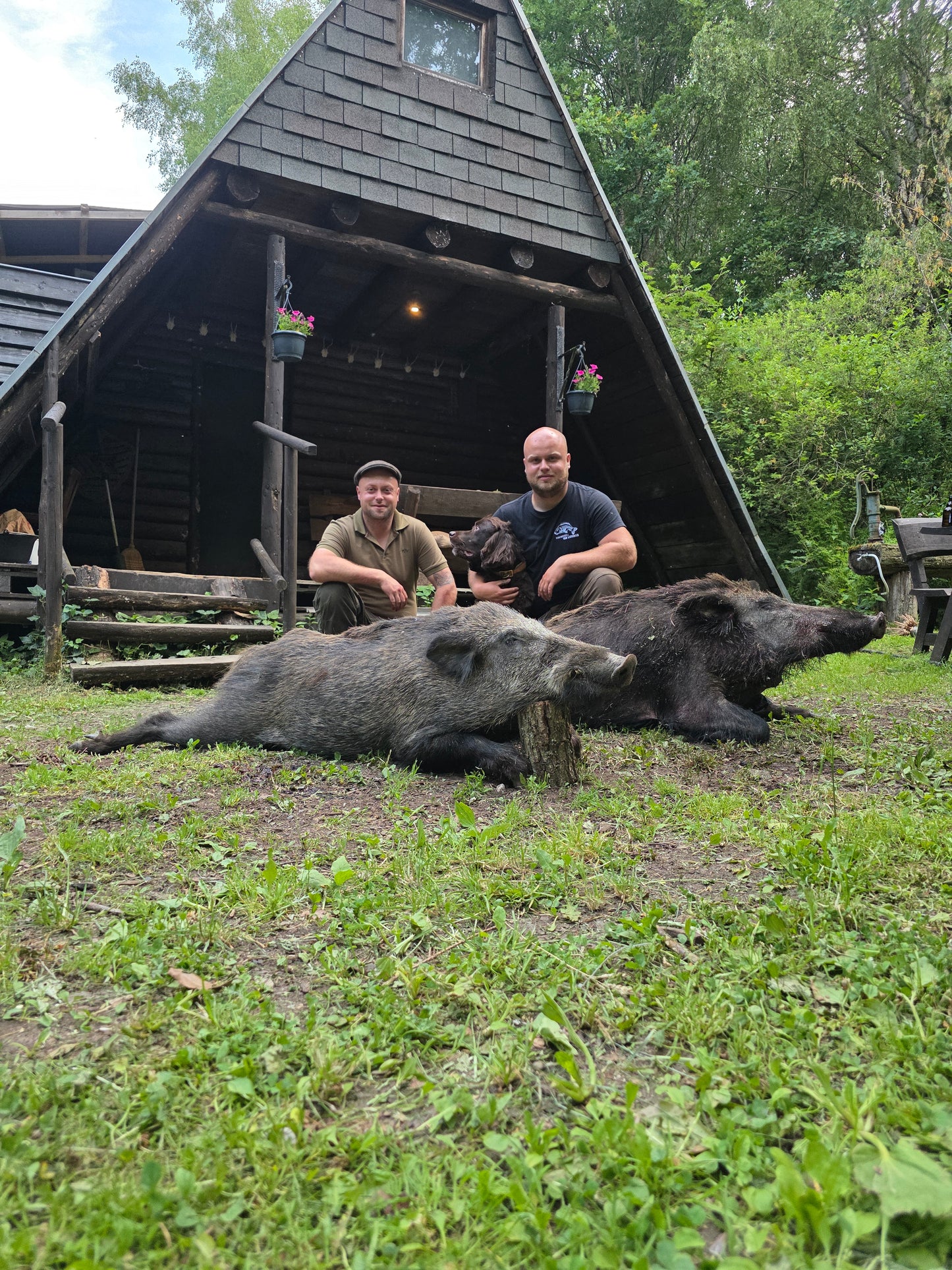 Boar hunt Germany