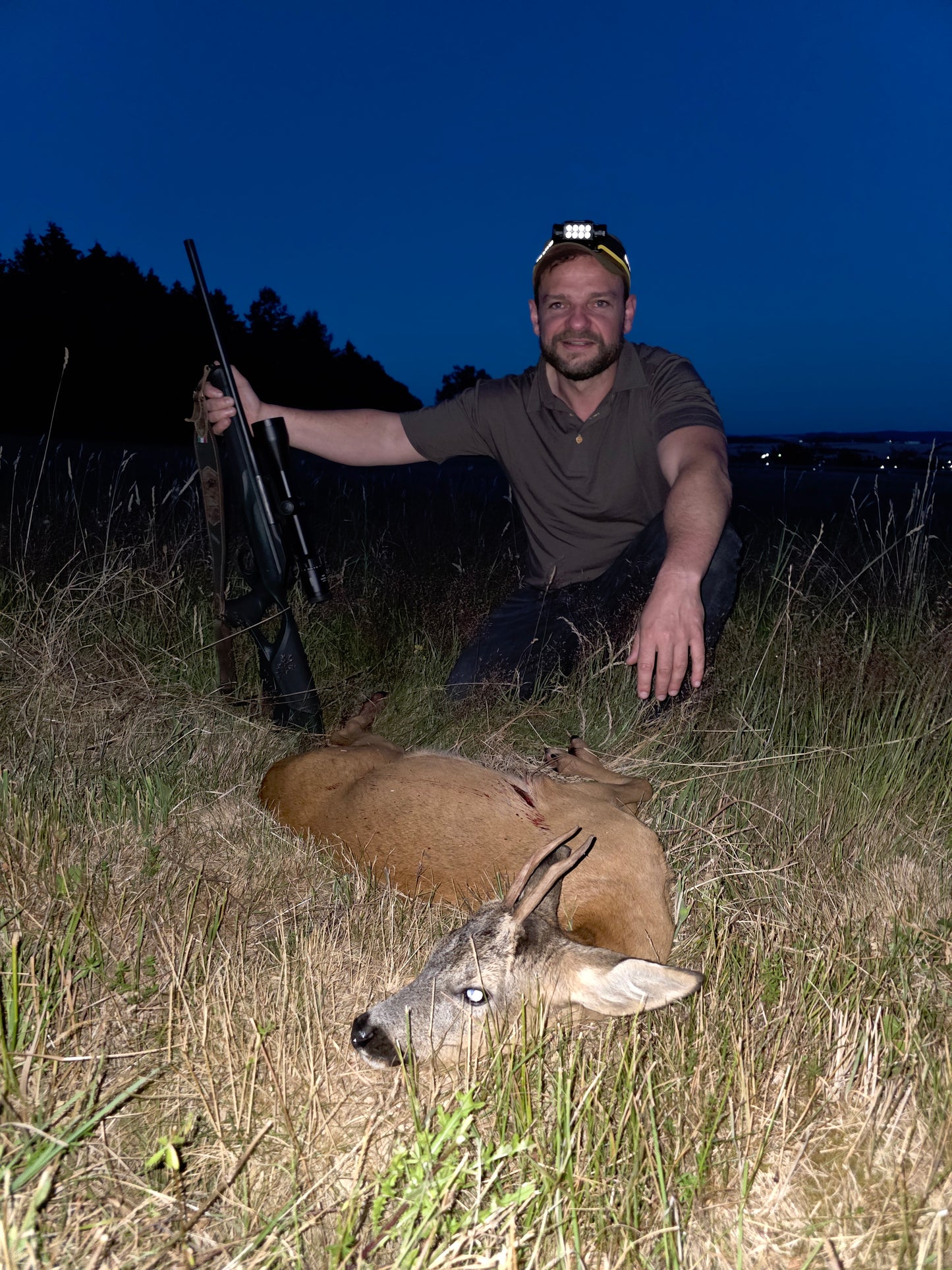 Roebuck Germany