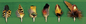 Hat Feathers