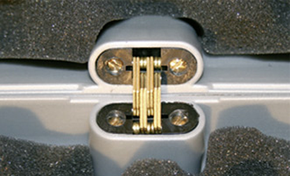 PP – Gun Case