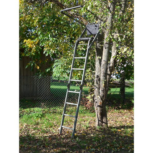 Tree Stand