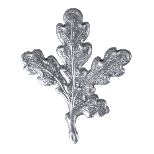 Wild Boar Tusk Cover Plate