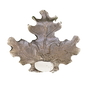 Heavy-duty Solid Wild Boar Tusk Cover Plate