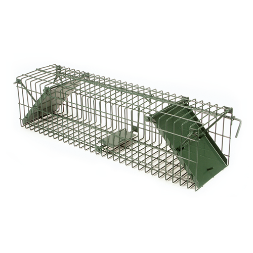 Wire Frame Traps