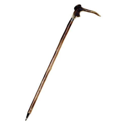 Walking Stick