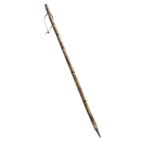 Walking and Beater Stick