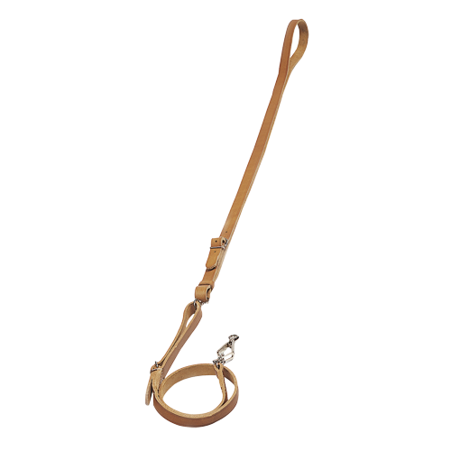 Training Leash or Lead