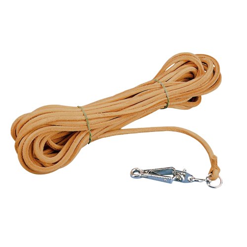 Tracking Leash