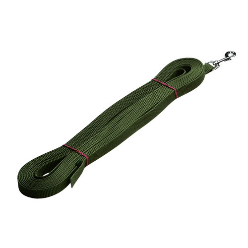 Tracking Leash