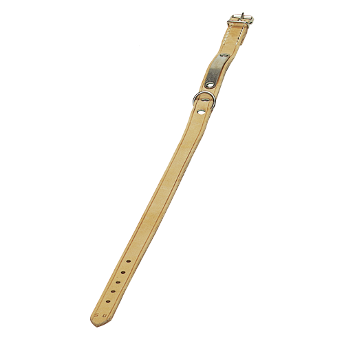 Collar with Nameplate