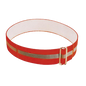 Visibility Collar for dogs