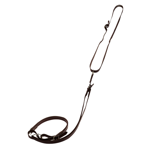 Quick-release Leash