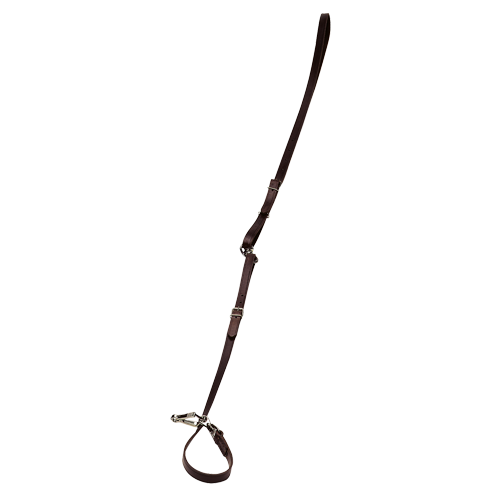 Training Leash or Lead