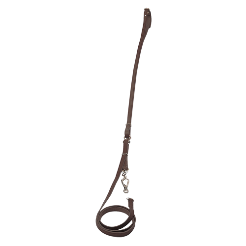 Training Leash or Lead