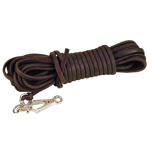 Tracking Leash