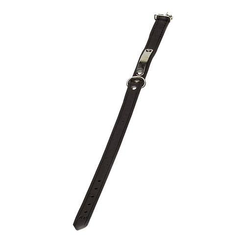 Collar with Nameplate