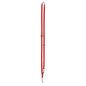 Nylon Leash