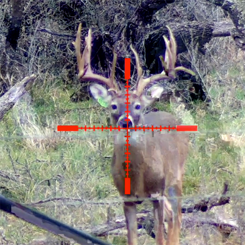 Sightmark - Wraith HD 4-32x50 Digital Riflescope