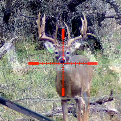 Sightmark - Wraith HD 4-32x50 Digital Riflescope