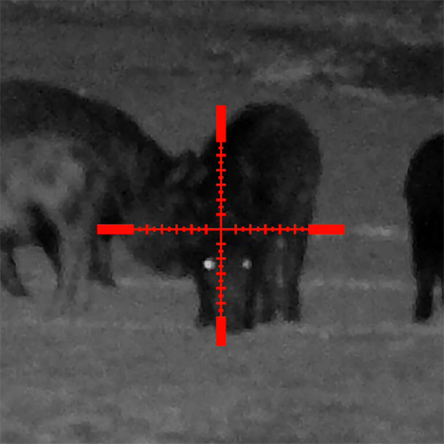 Sightmark - Wraith HD 4-32x50 Digital Riflescope