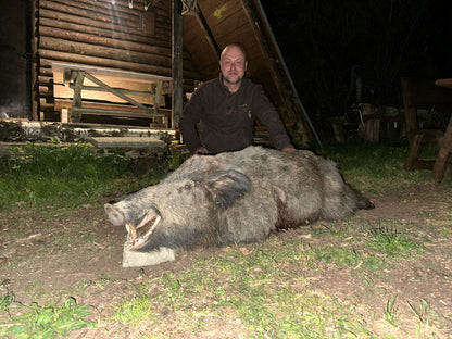 Boar hunt Germany
