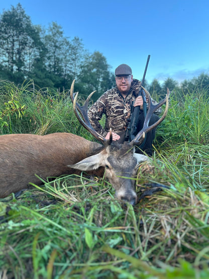 Reddeer hunt