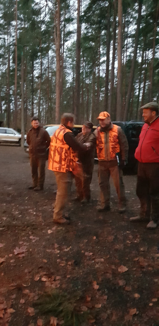 Driven hunt poland